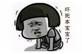 阿拉善追款公司：专业债务追收，守护您的资金安全